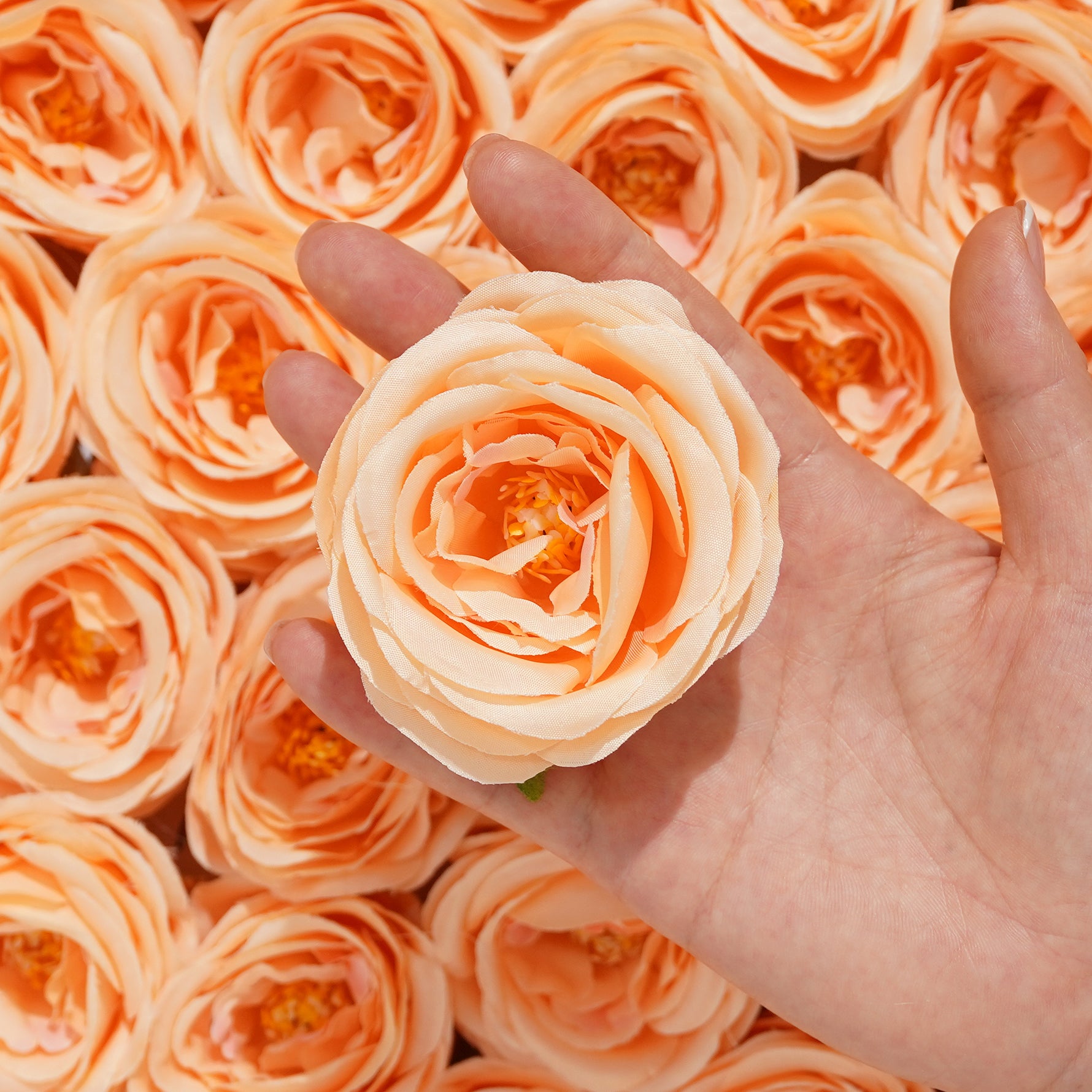 Artificial rose blooms white fabric background display