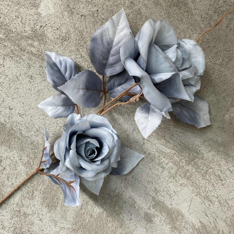 burgundy_rose_flat_lay_view