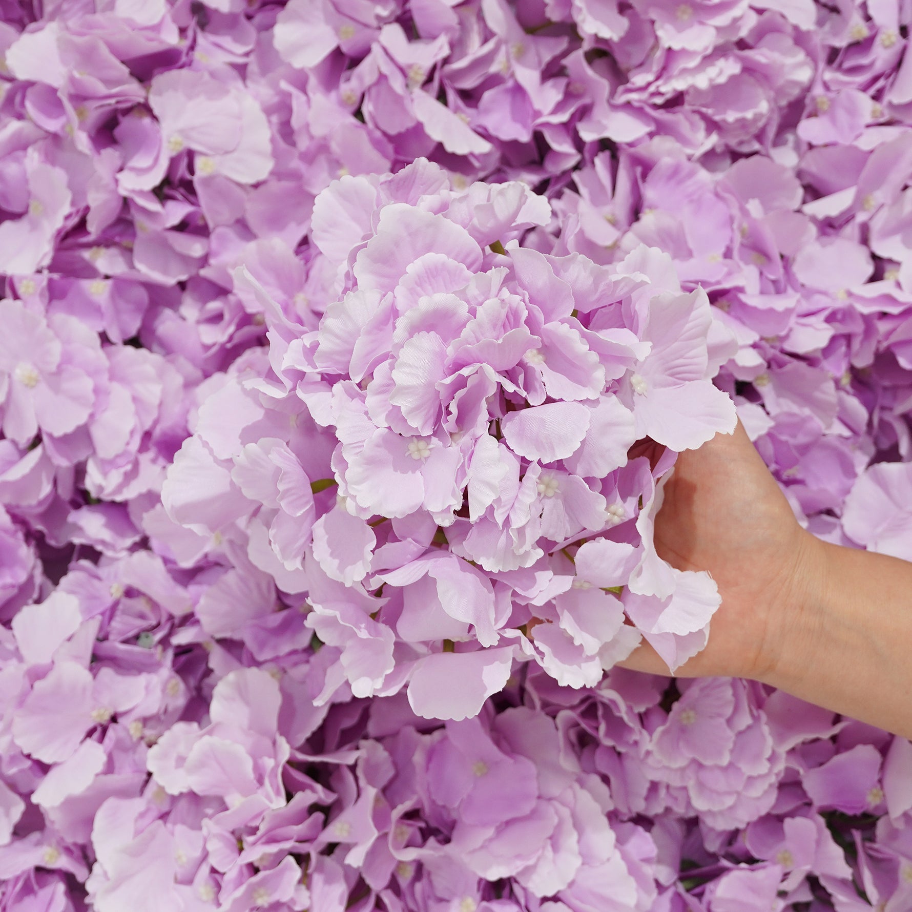 pastel-silk-hydrangea-flower