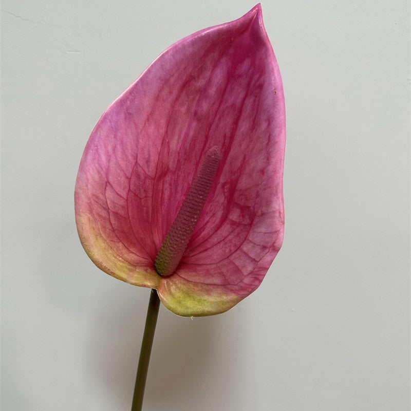 mixed‑shade‑fake‑anthurium‑bundle‑grey‑studio‑background
