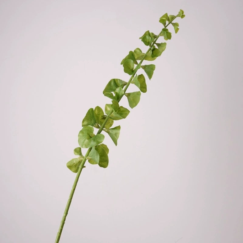 shell flower greenery stem for bridal table arrangements