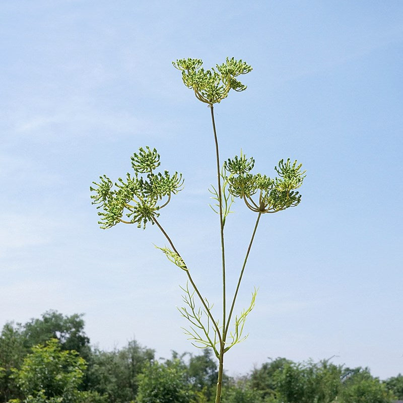 artificial-cow-parsley-floral-stem