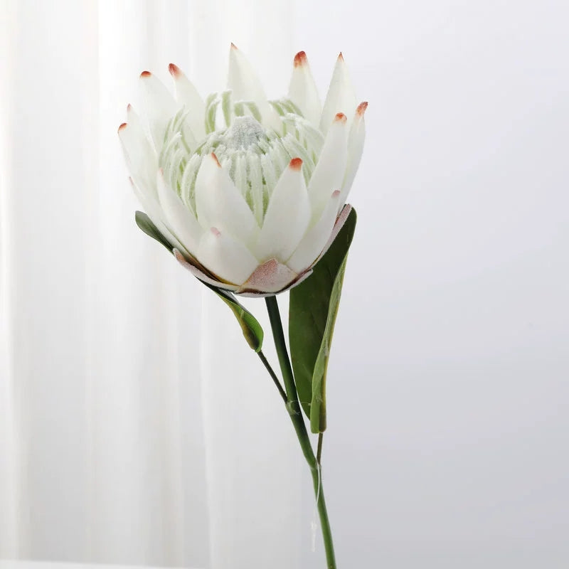 tropical‑faux‑king‑protea‑stems‑bulk‑wedding‑supplies