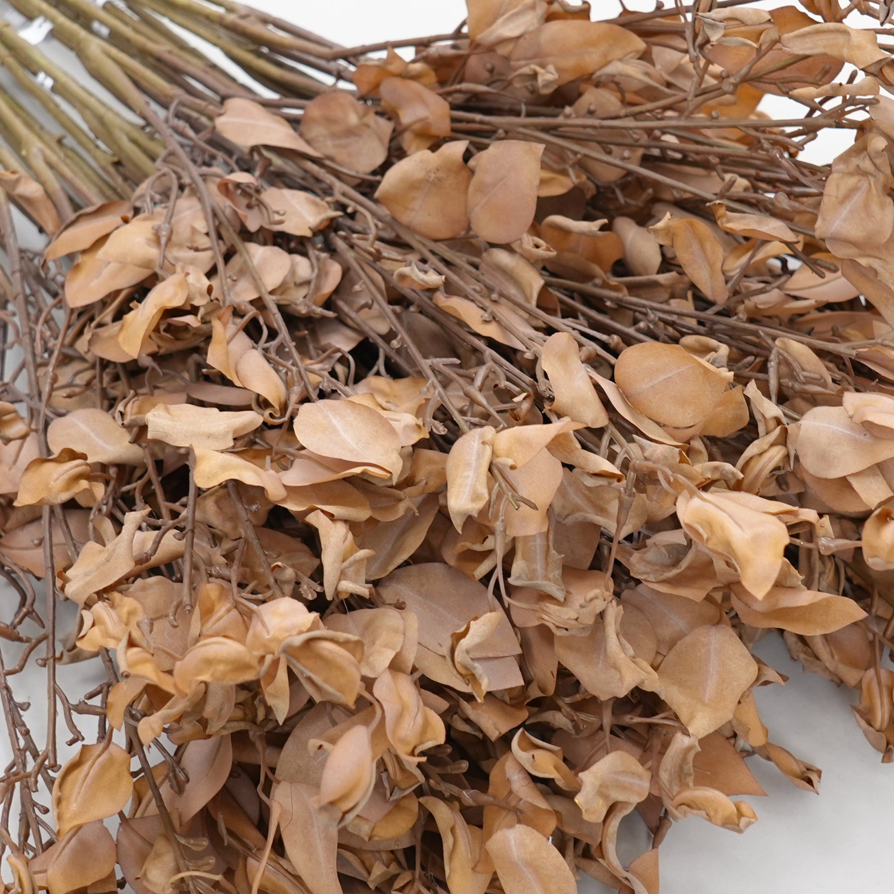 natural_leaf_bunch_warm