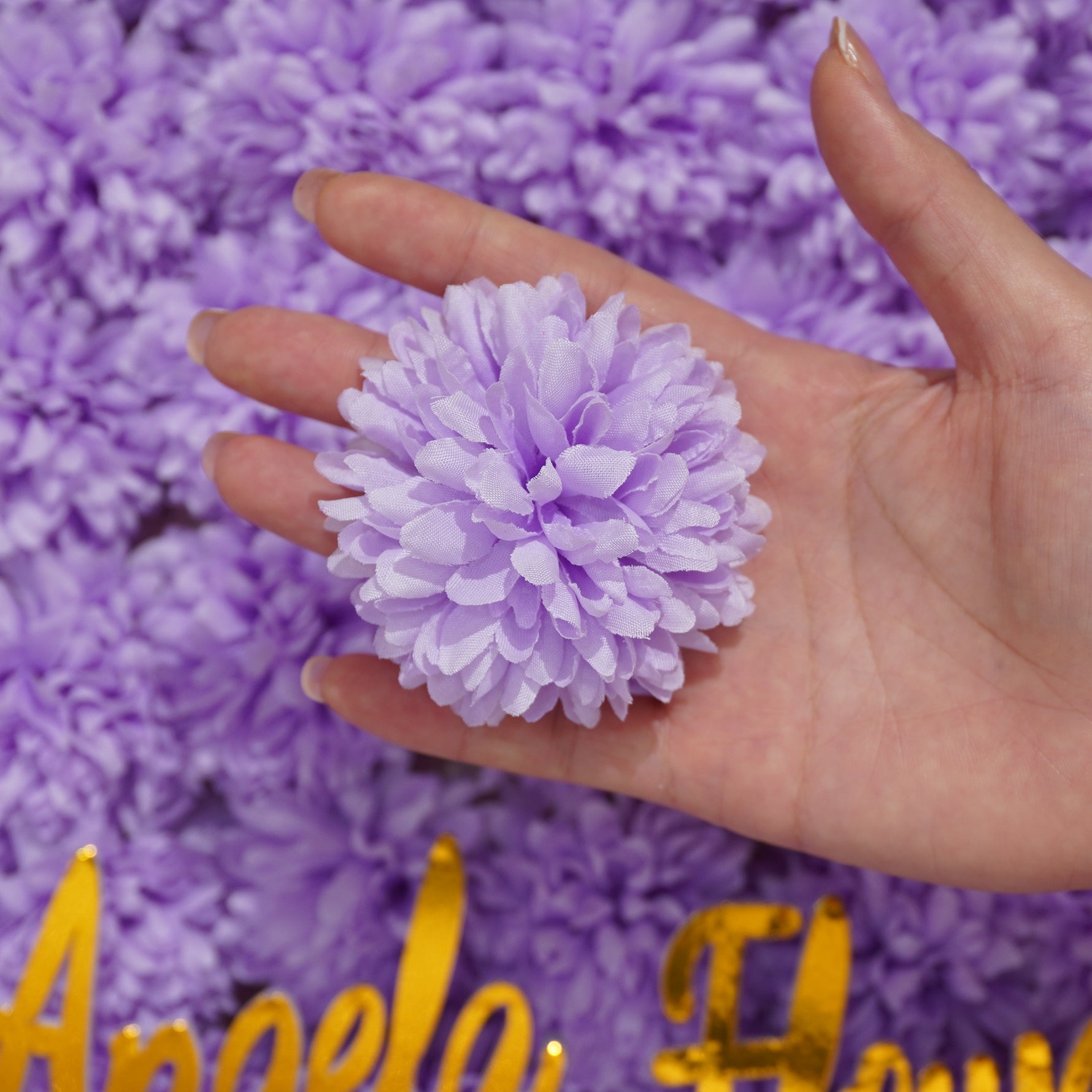 single‑faux‑ball‑chrysanthemum‑bloom‑isolated‑product‑detail‑shot