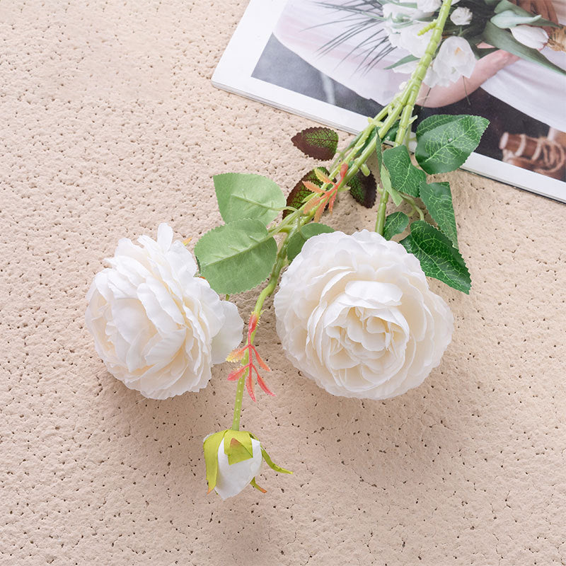 event_peony_deep_crimson_flower