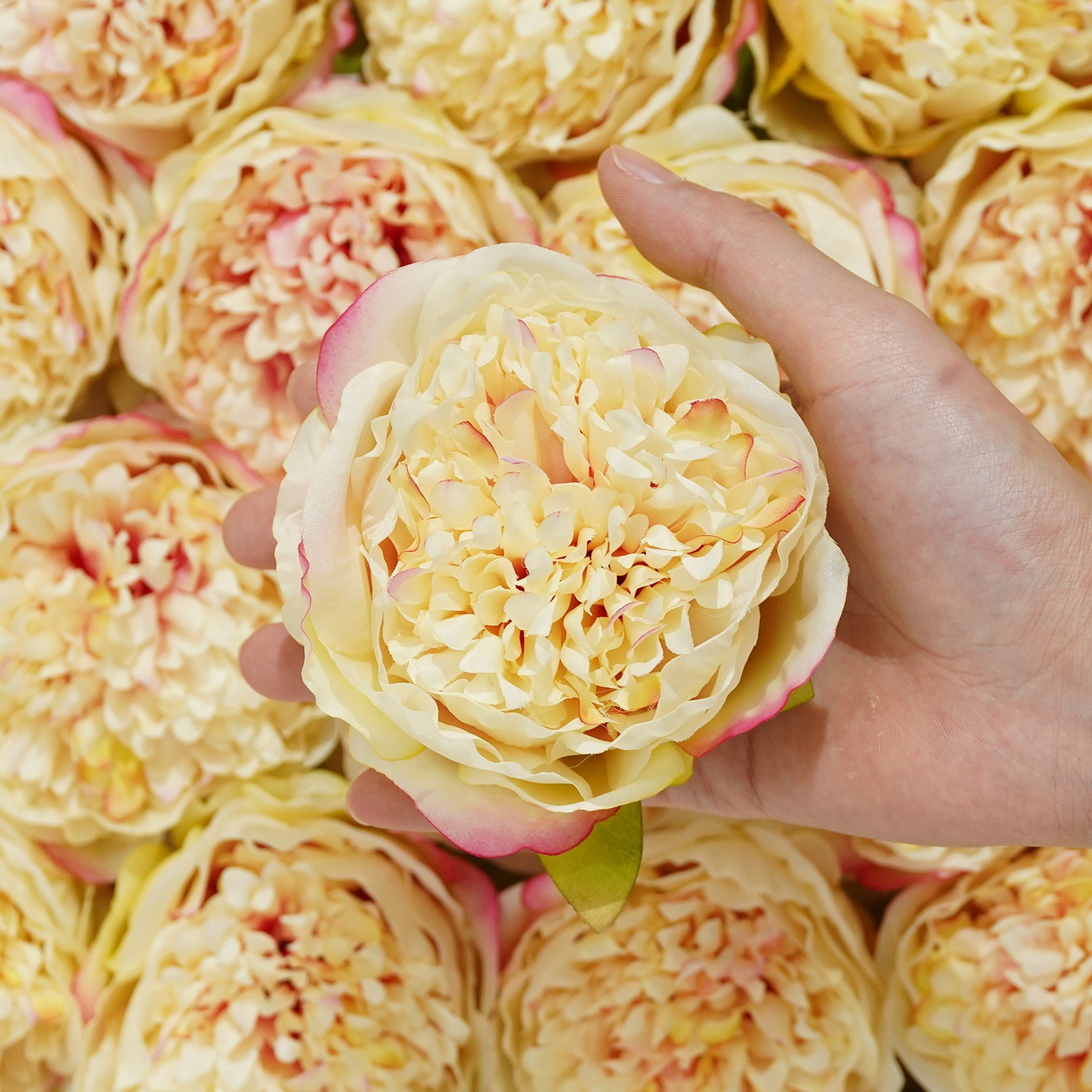 peony-wedding-decor