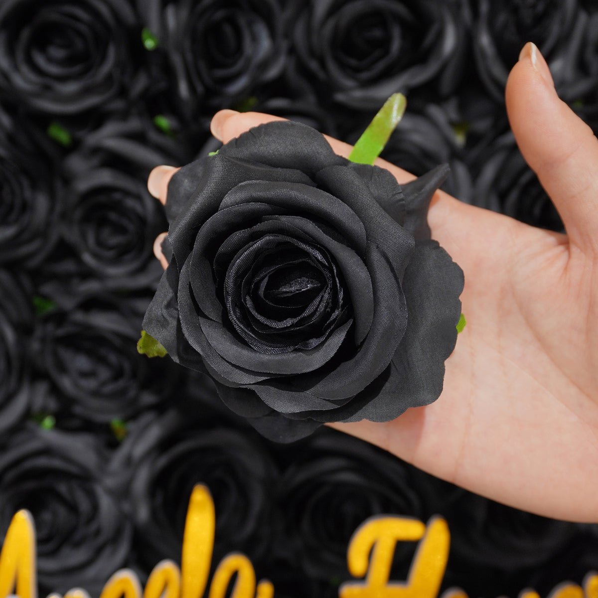 Silk black rose bloom close up detail shot