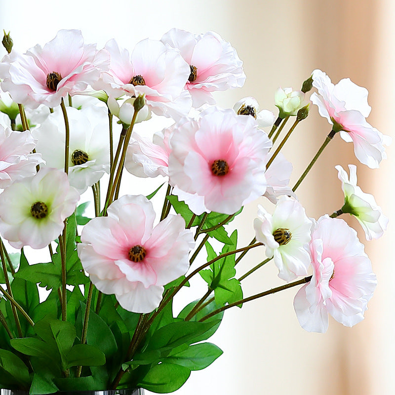 elegant_iceland_poppy_home_bundle