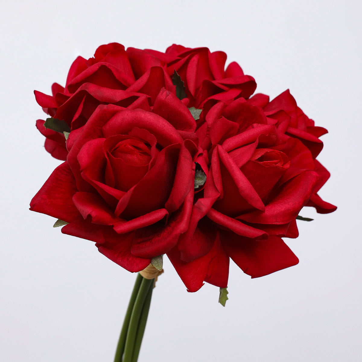 pu_rose_petals_material_closeup