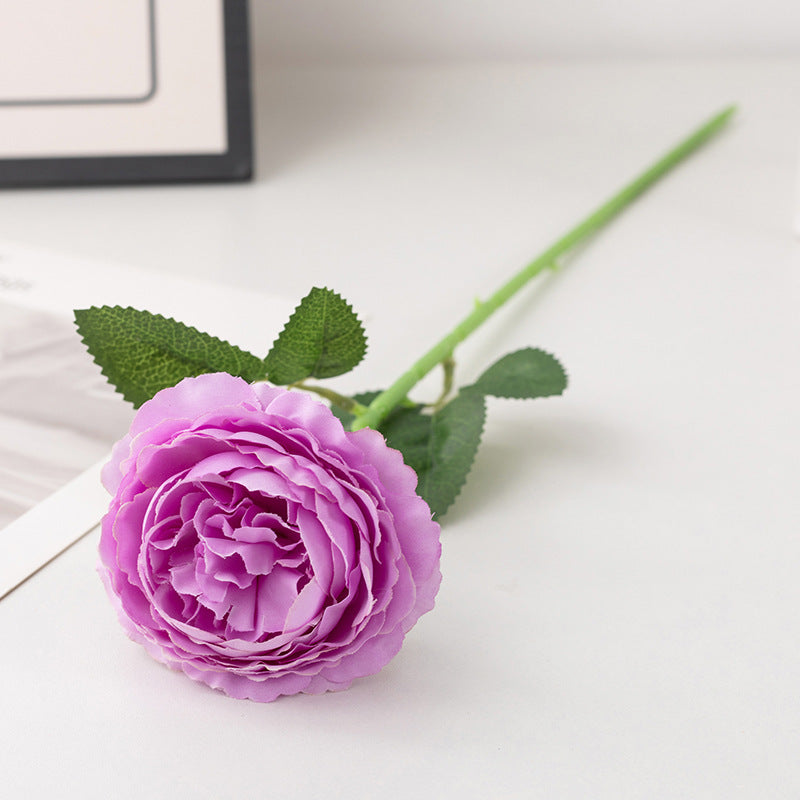 light_pink_rose_bloom_detail