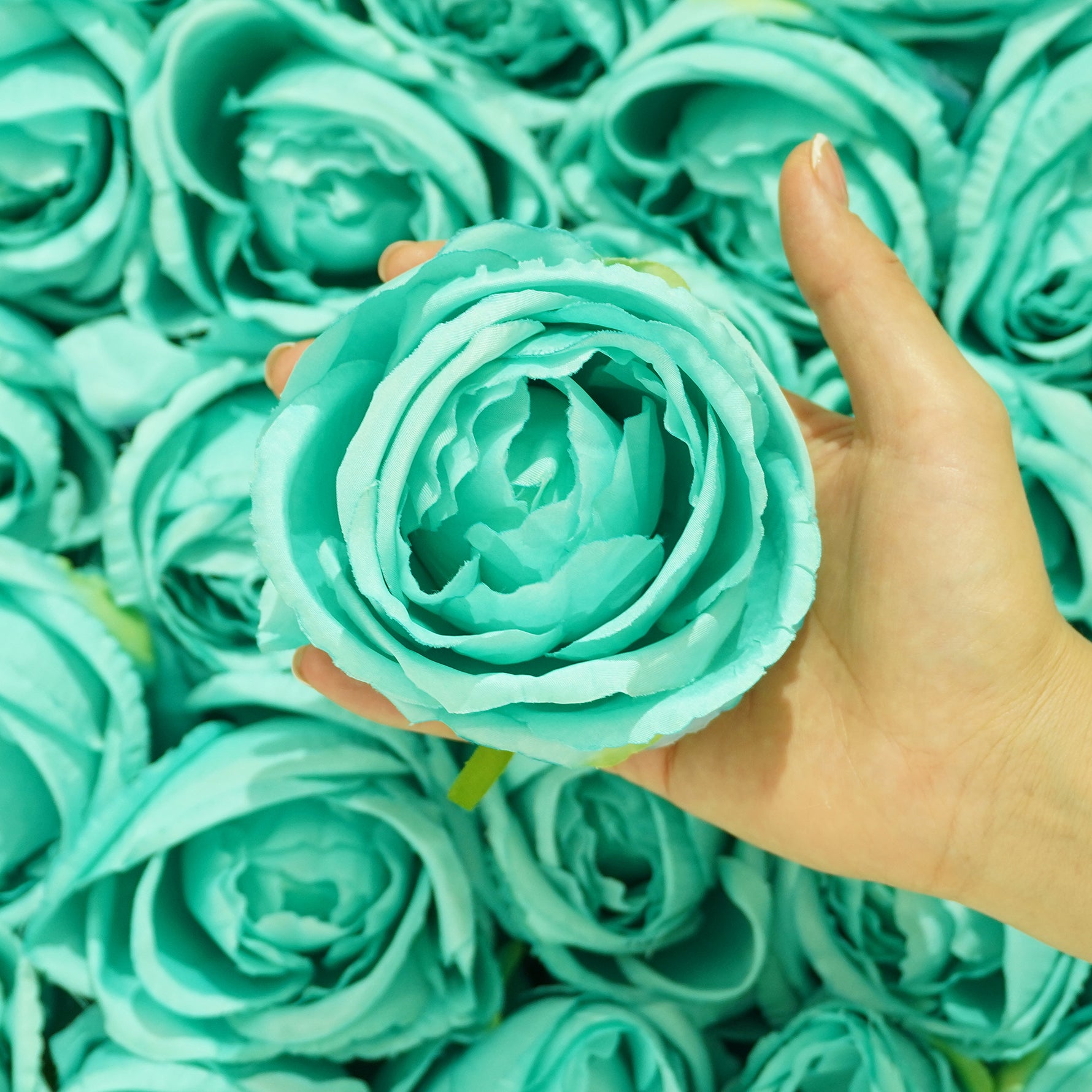 vibrant rose flower head decoration