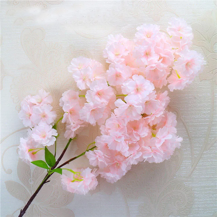 serene_cherry_blossom_display