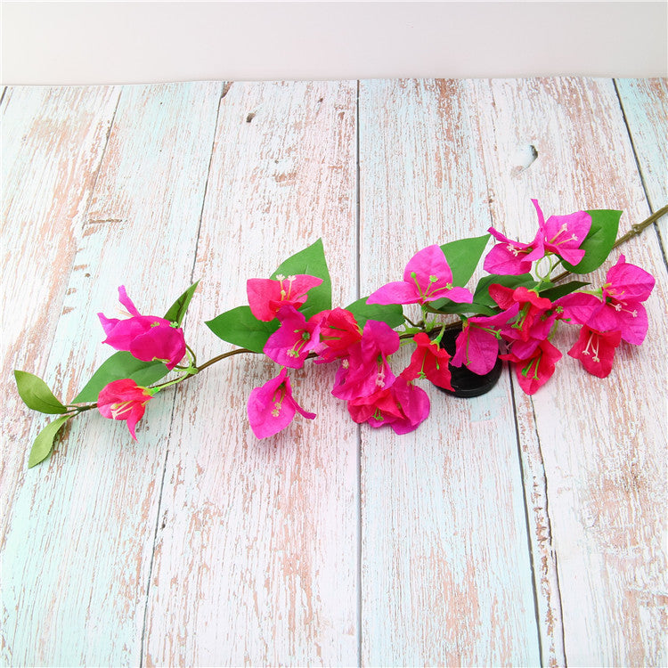 side_spread_bougainvillea_wooden_surface