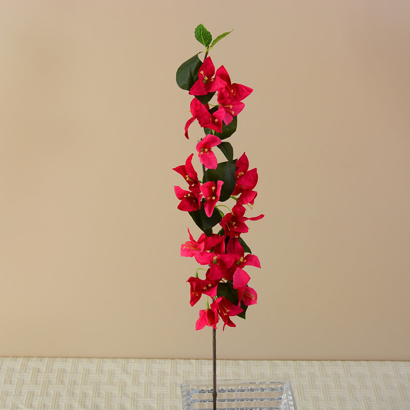 vivid_red_bougainvillea_bunch