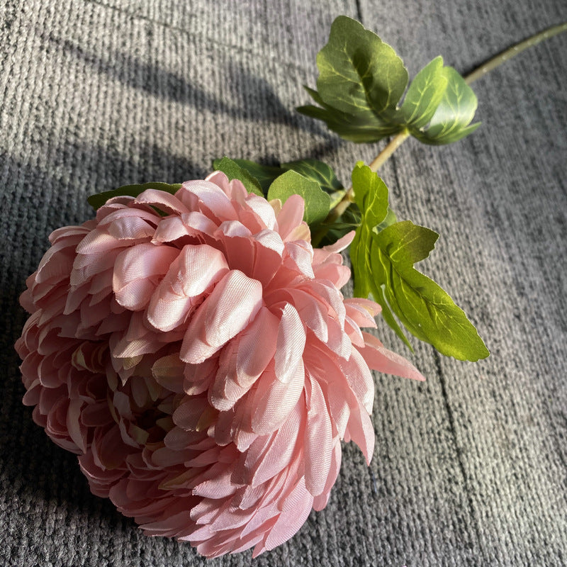 lavender_purple_chrysanthemum_sprig