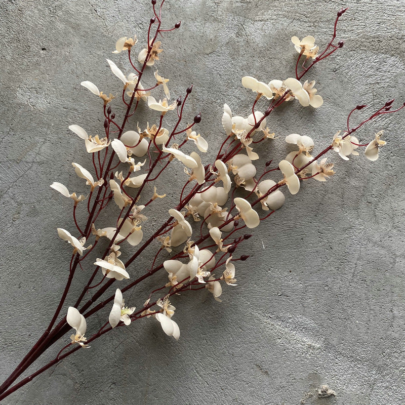 deep_red_branching_orchid_stem