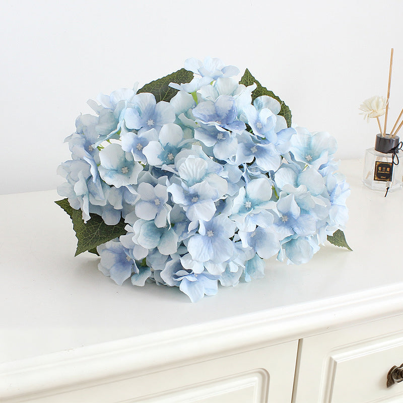 hydrangea_flower_head
