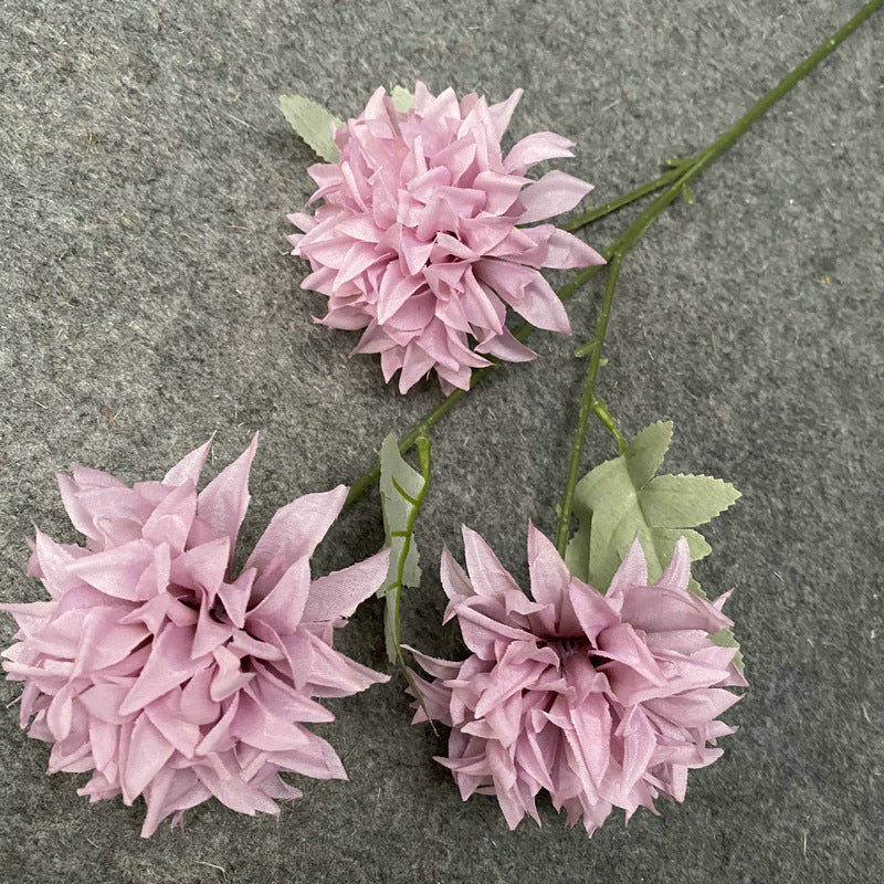 bulk_assorted_dahlia_flower_stems