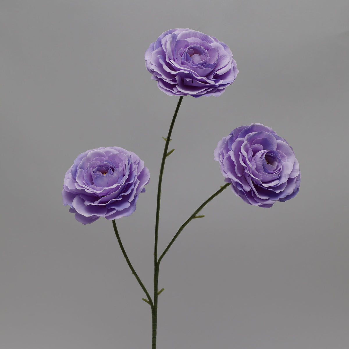 silk_ranunculus_large_bloom