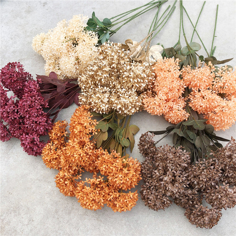 plump_pompon_hydrangea_bulk_filler_blossom
