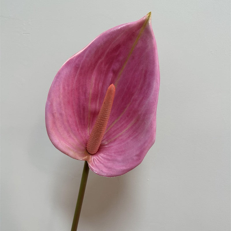 pink‑fake‑anthurium‑stem‑close‑up‑detail‑shot