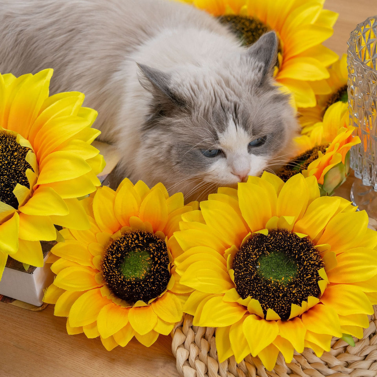 artificial_sunflower_sunlight_shot