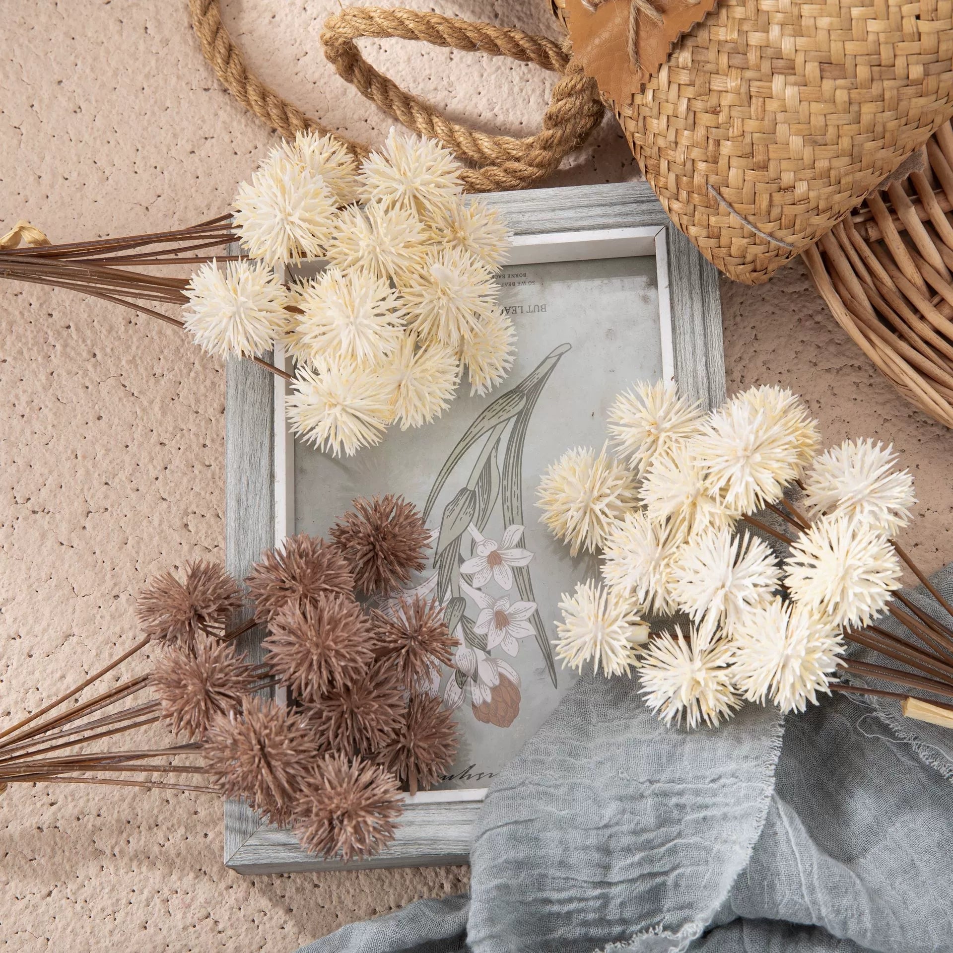 dried-round-head-flower-stems-lifestyle-shot