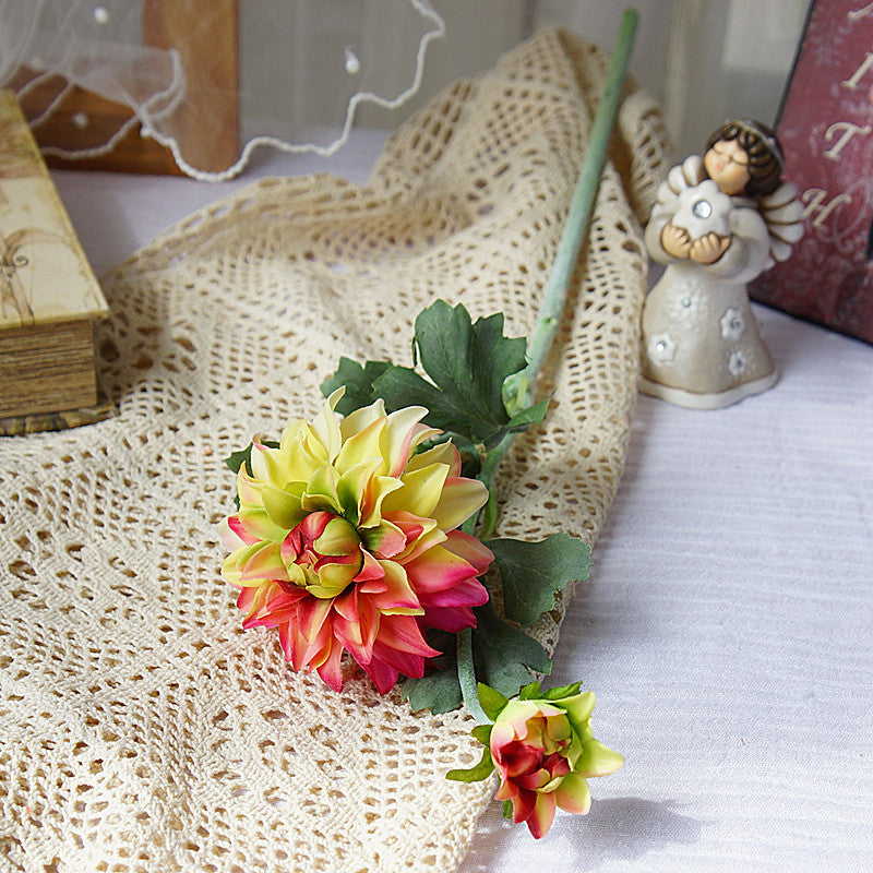 isolated_magenta_dahlia_on_lace_backdrop