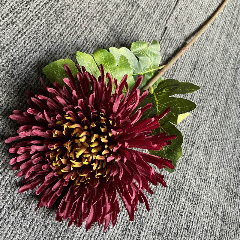 event_chrysanthemum_lavender_hue