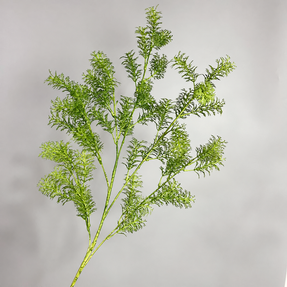 vintage_misty_grass_twig