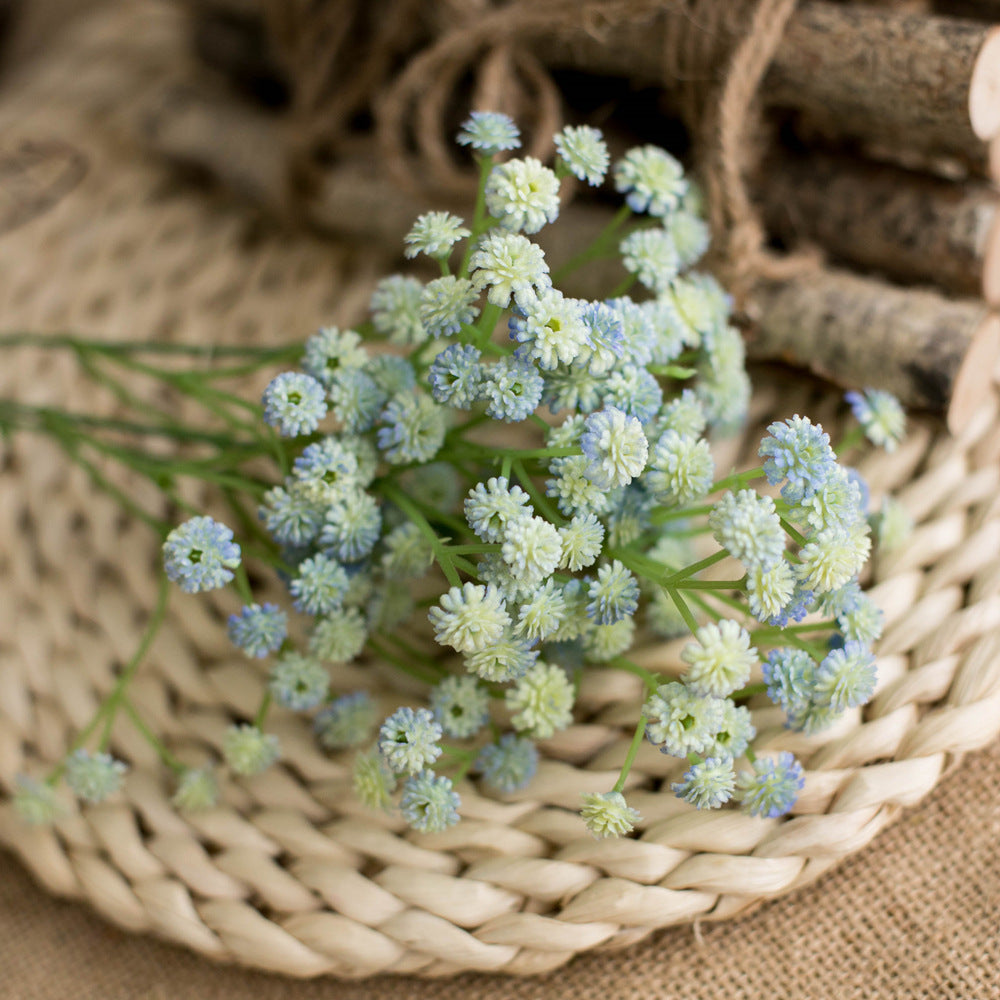 yellow_gypsophila_sprig_isolated_view