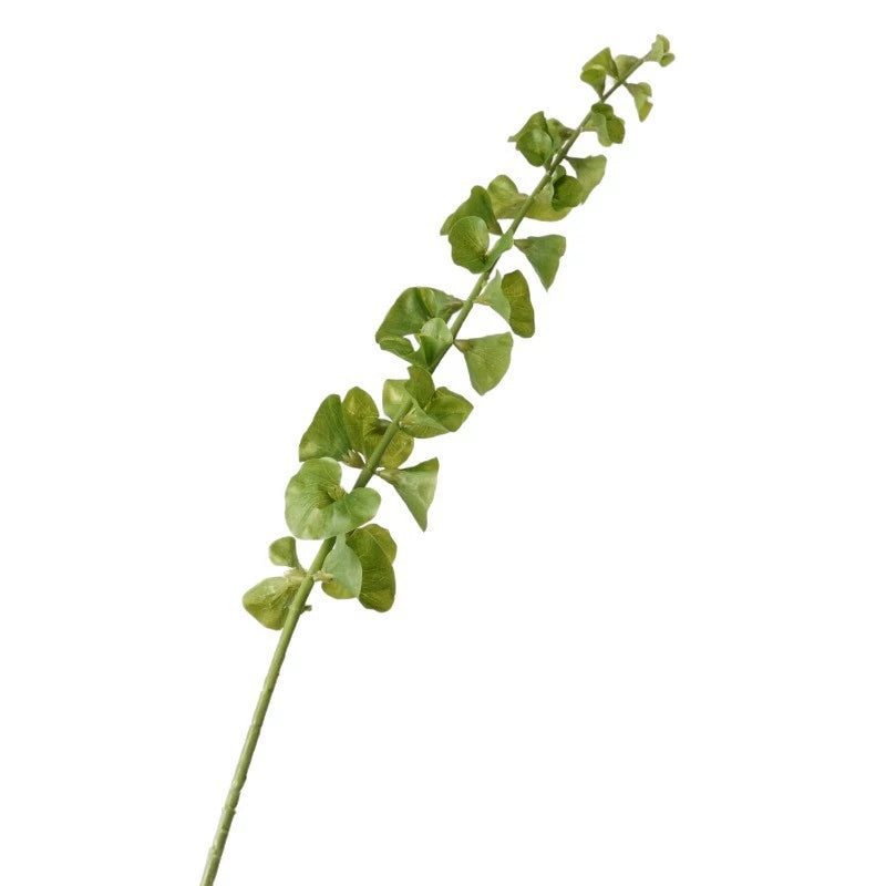 premium realistic shell flower stem for interior decoration