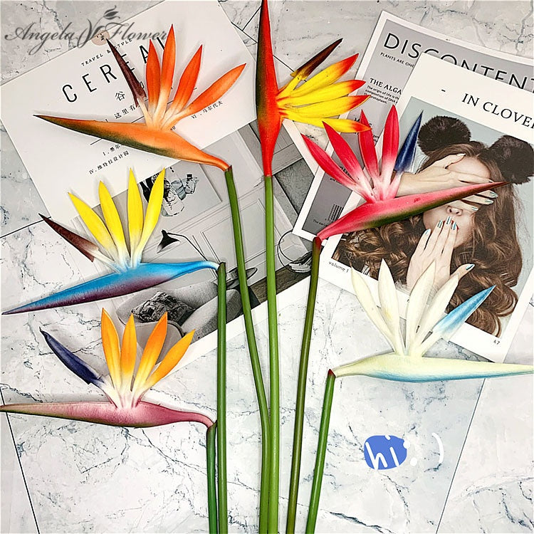 tropical_bird_of_paradise_stems_group_layout