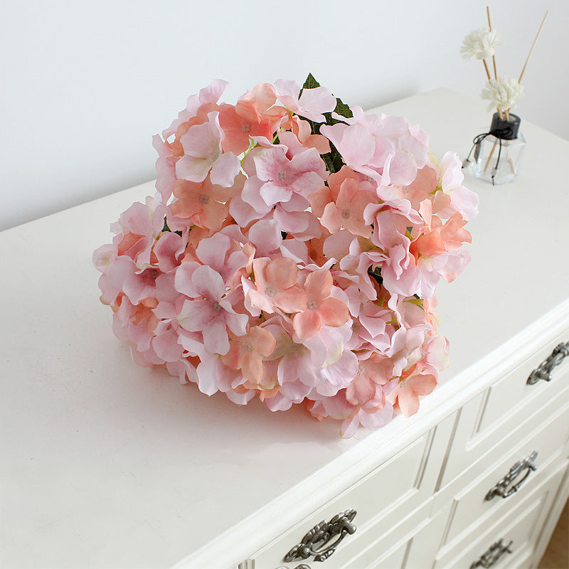 hydrangea_closeup_petals