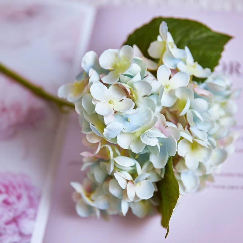 warm_tone_hydrangea