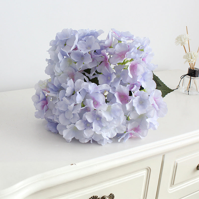 multi_color_hydrangea_flat
