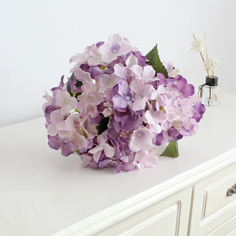 light_orange_hydrangea
