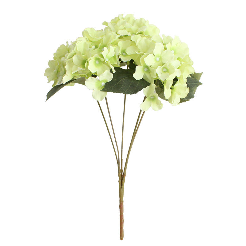 soft_lilac_hydrangea