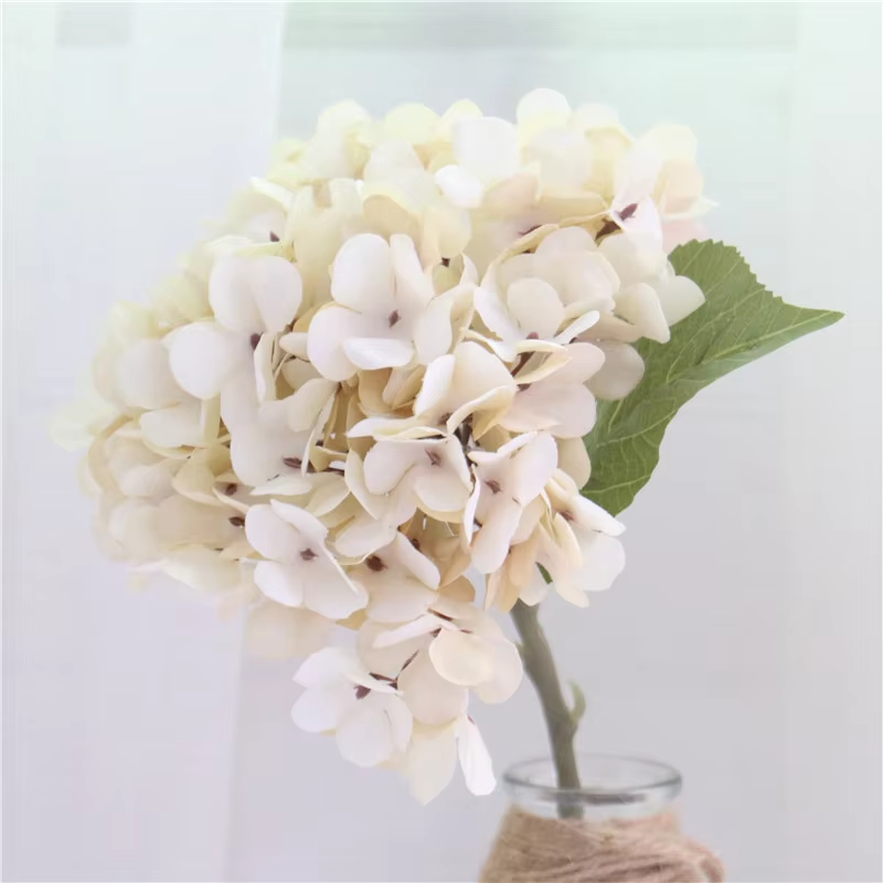 retro_hydrangea_shot