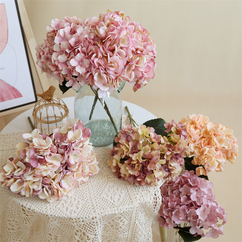 hydrangea_bloom_cluster