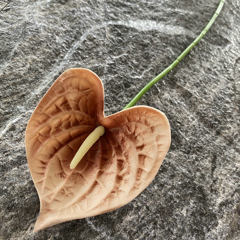 botanical_anthurium_display