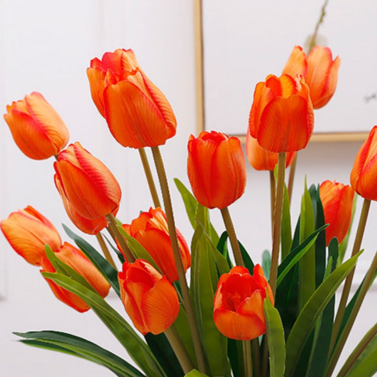 crimson_red_tulip_pitcher_arrange