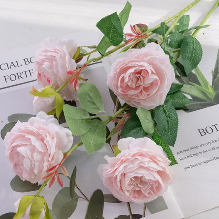 wedding_peony_blush_bloom