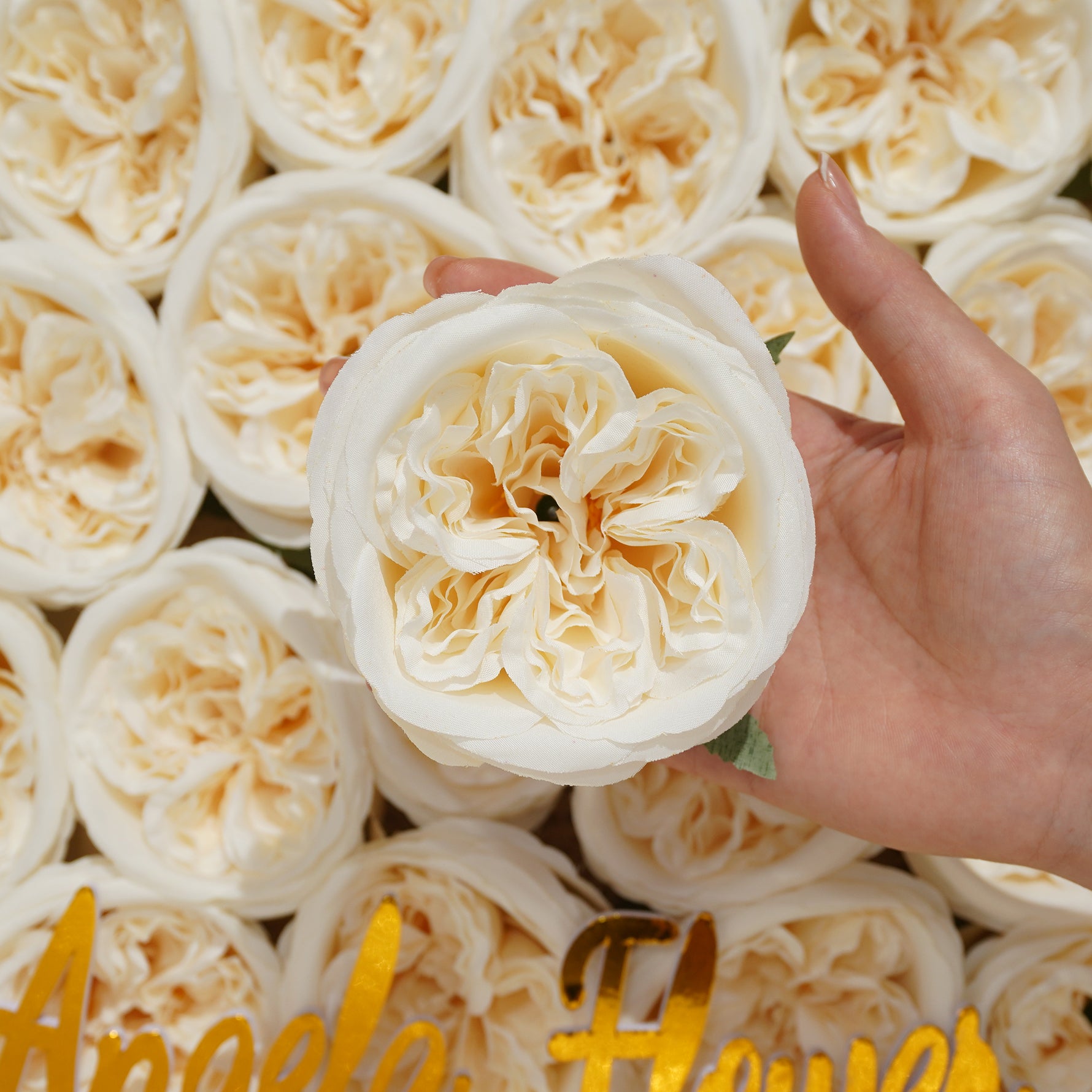 pure_white_silk_rose_heads_hand_photo