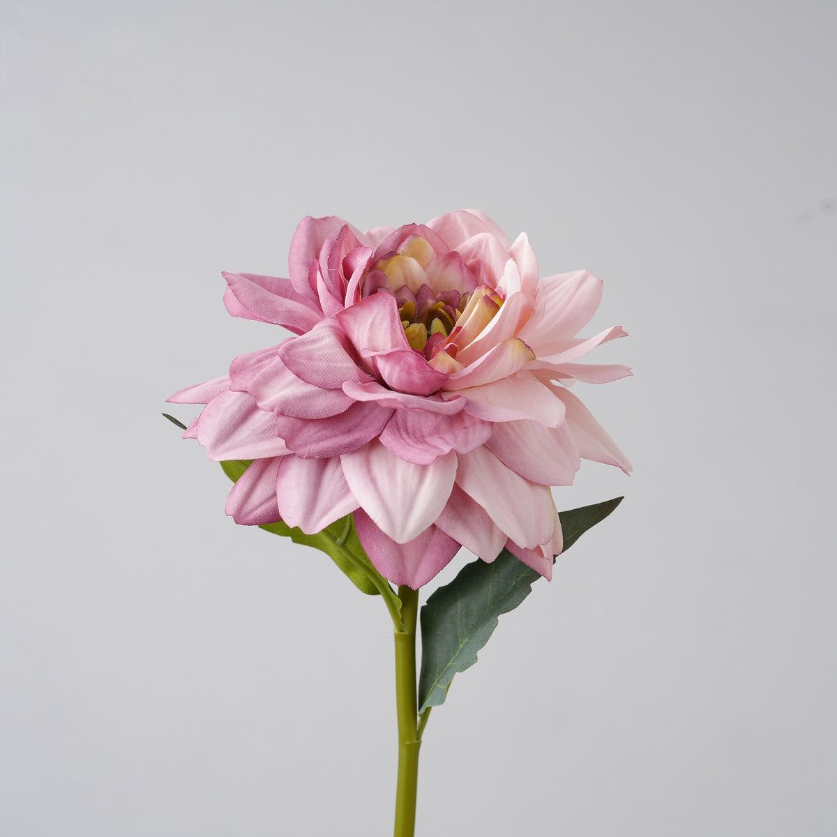peach_artificial_dahlia_petal_texture