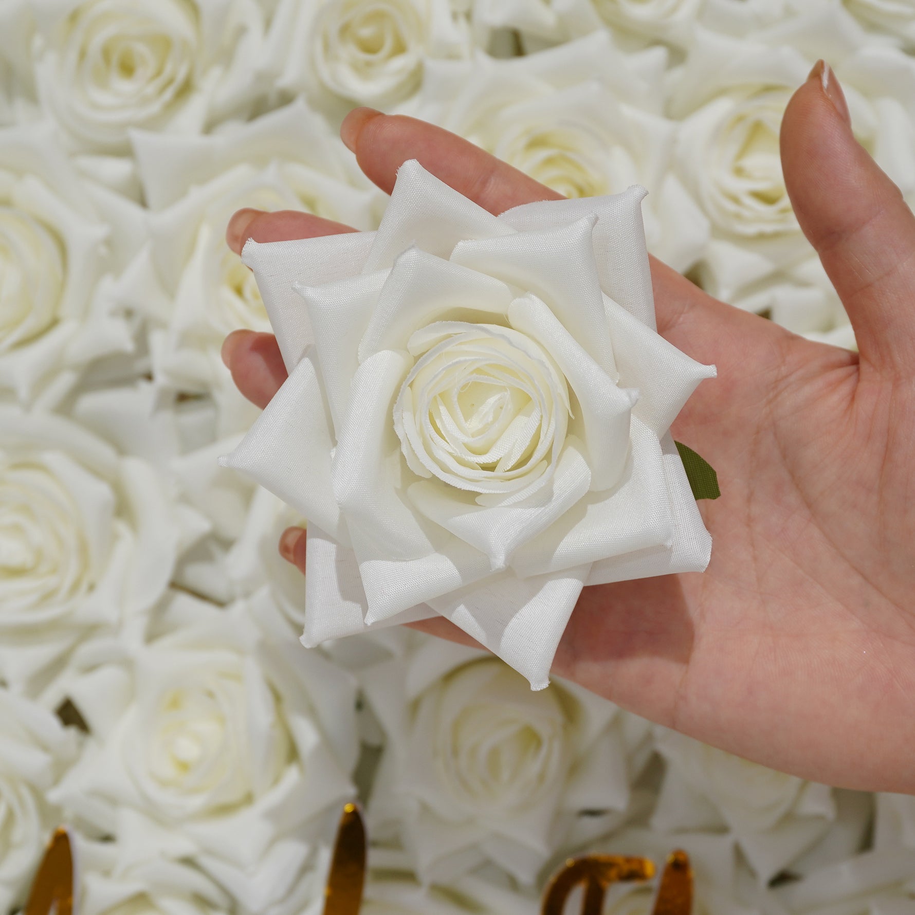 light_blush_foam_rose_handheld_detail