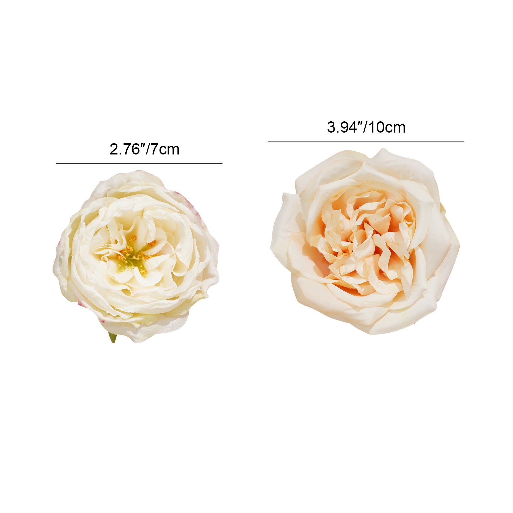 cream english rose heads Angela Flower
