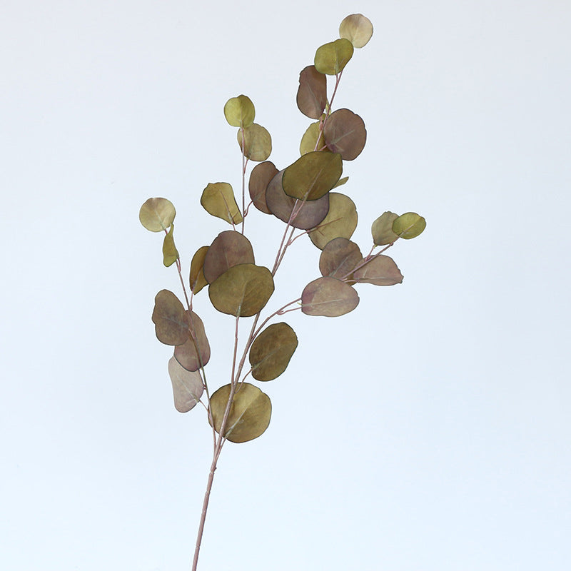 deep_burgundy_eucalyptus_leaf_branch