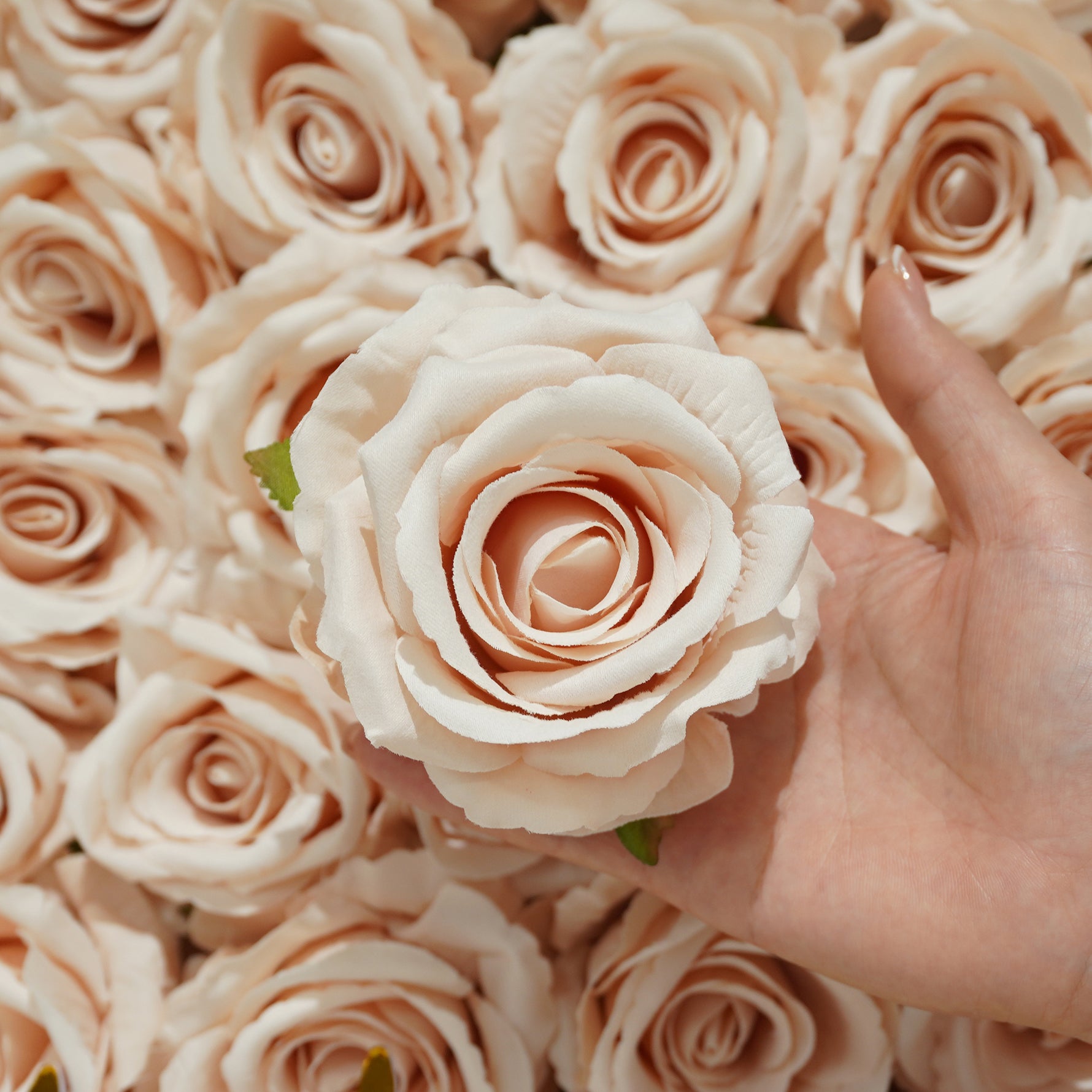 rose-heads-for-wedding-backdrop